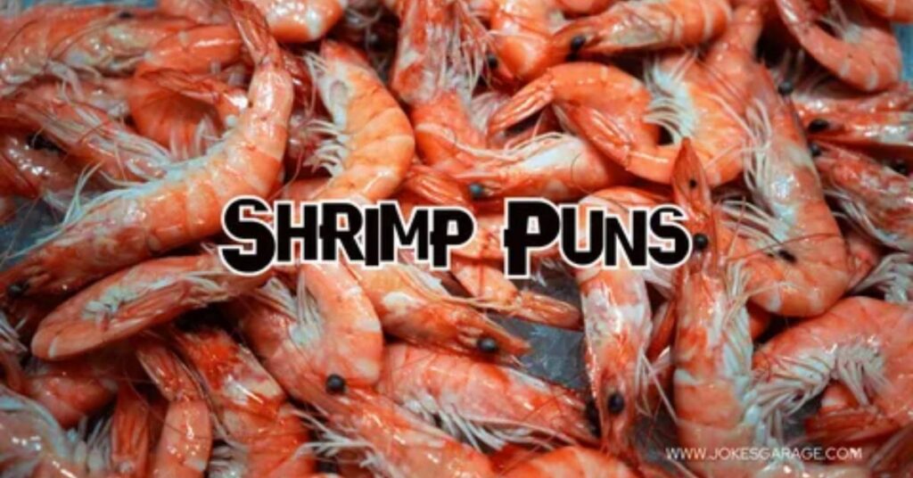 Shrimp Puns