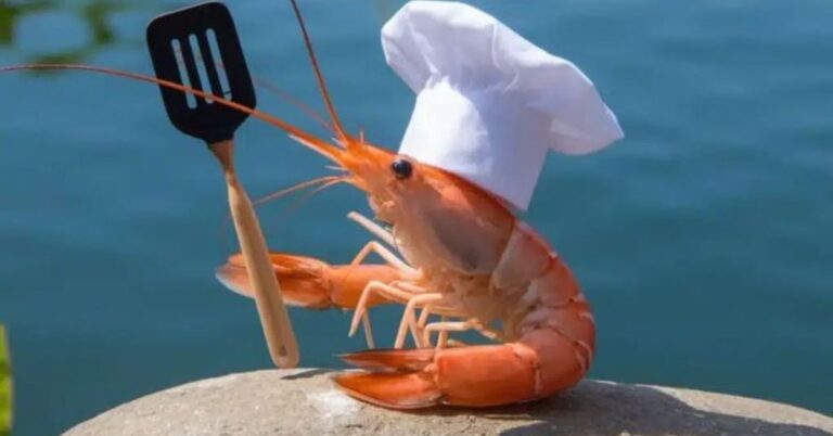 shrimp jokes