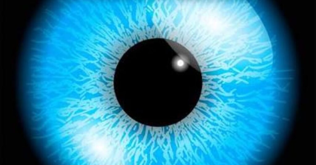 Eye Puns