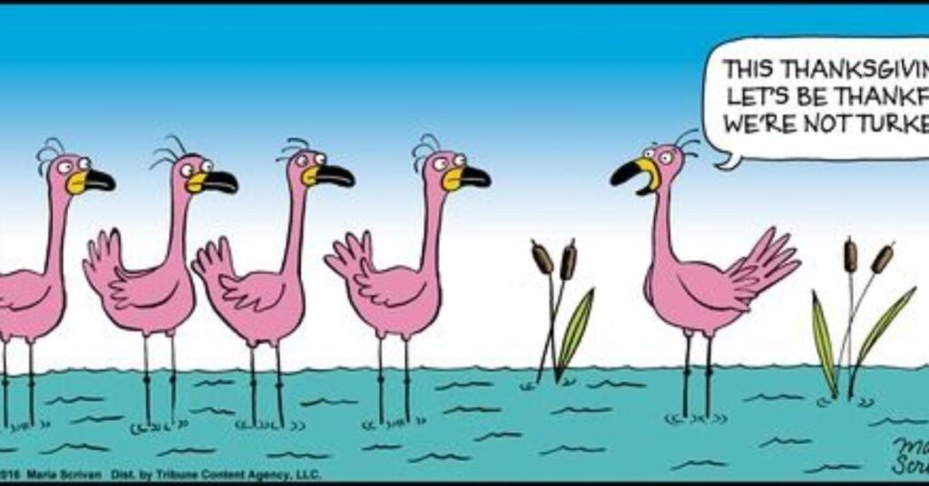 funny-flamingo-puns